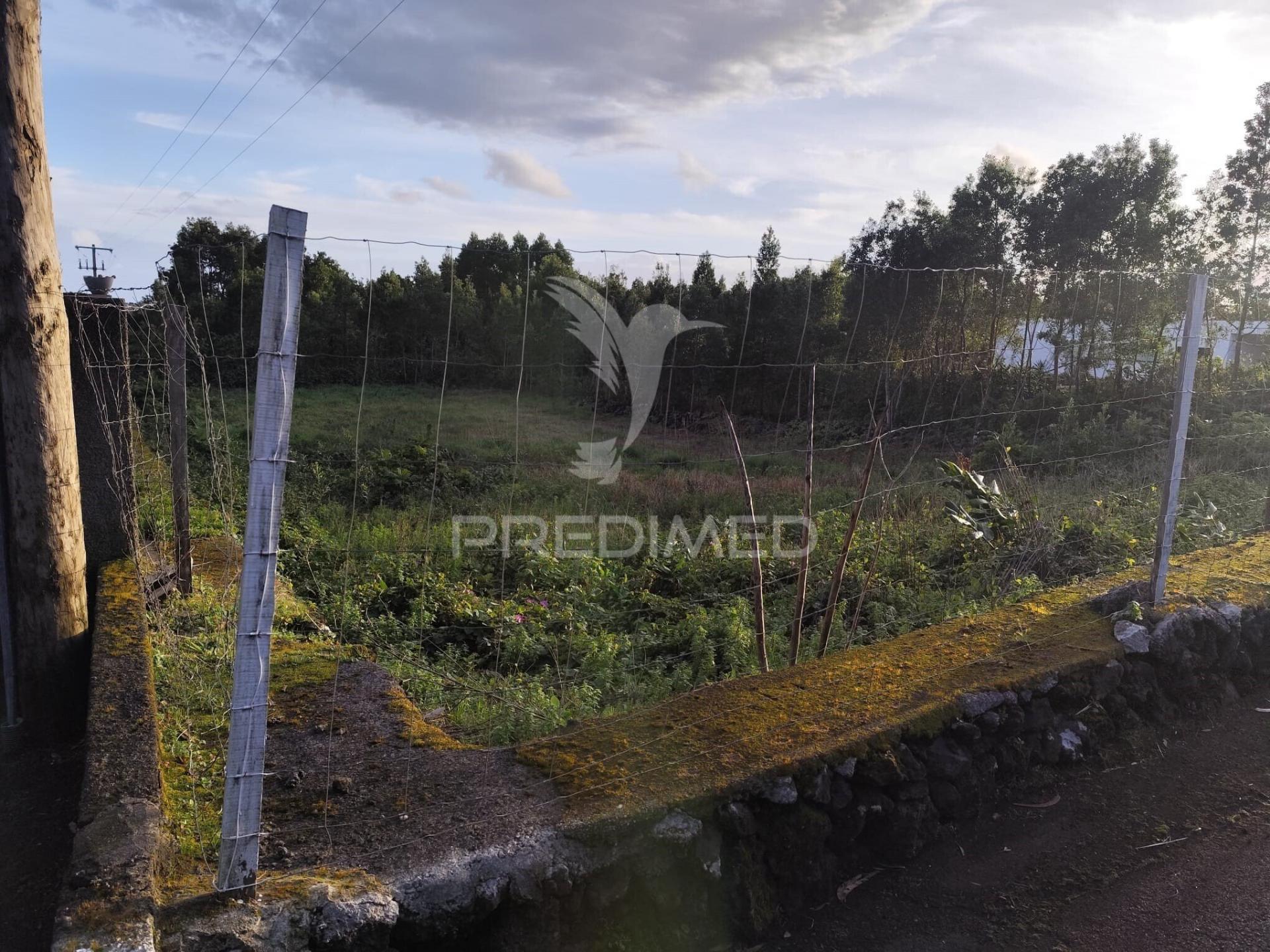 Terreno urbano na freguesia da terra-chã – 1.000 m²