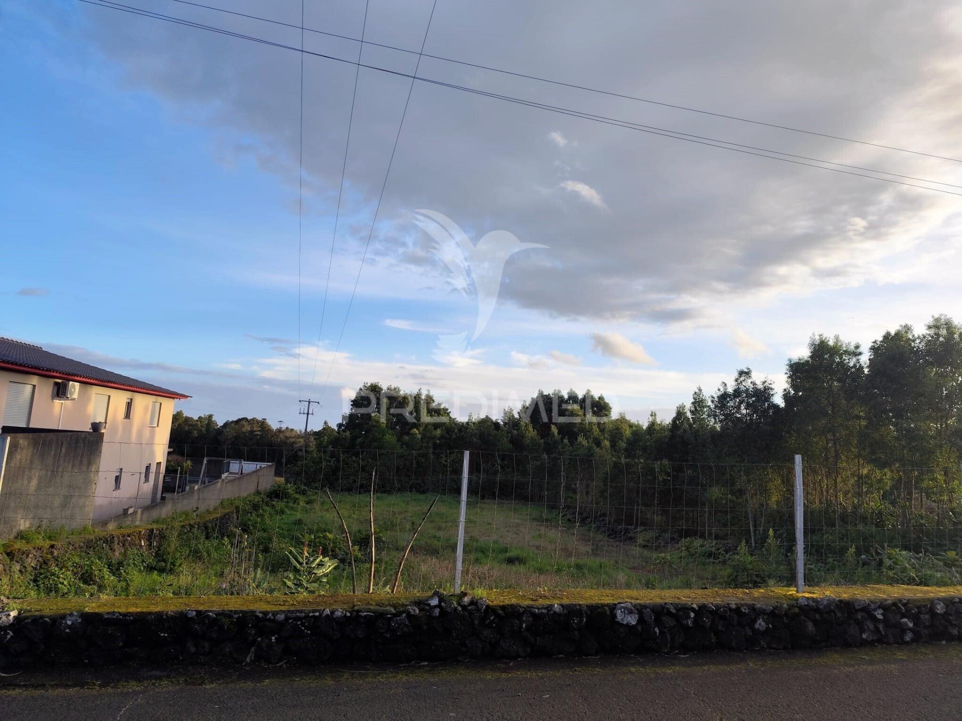 Terreno urbano na freguesia da terra-chã – 1.000 m²
