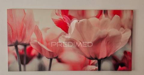 Apartamento t2 com piscina e vista mar , praia da rocha