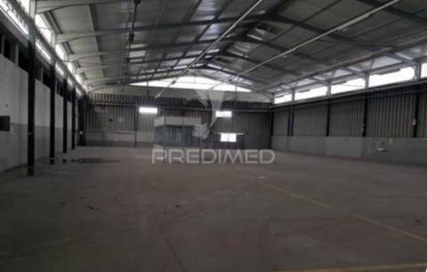 Edifício industrial à venda – zona industrial de muge