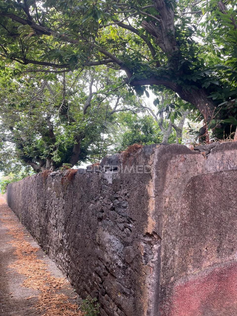 Quinta centenária na ponta do pargo – oportunidade única junto ao futuro campo de golfe