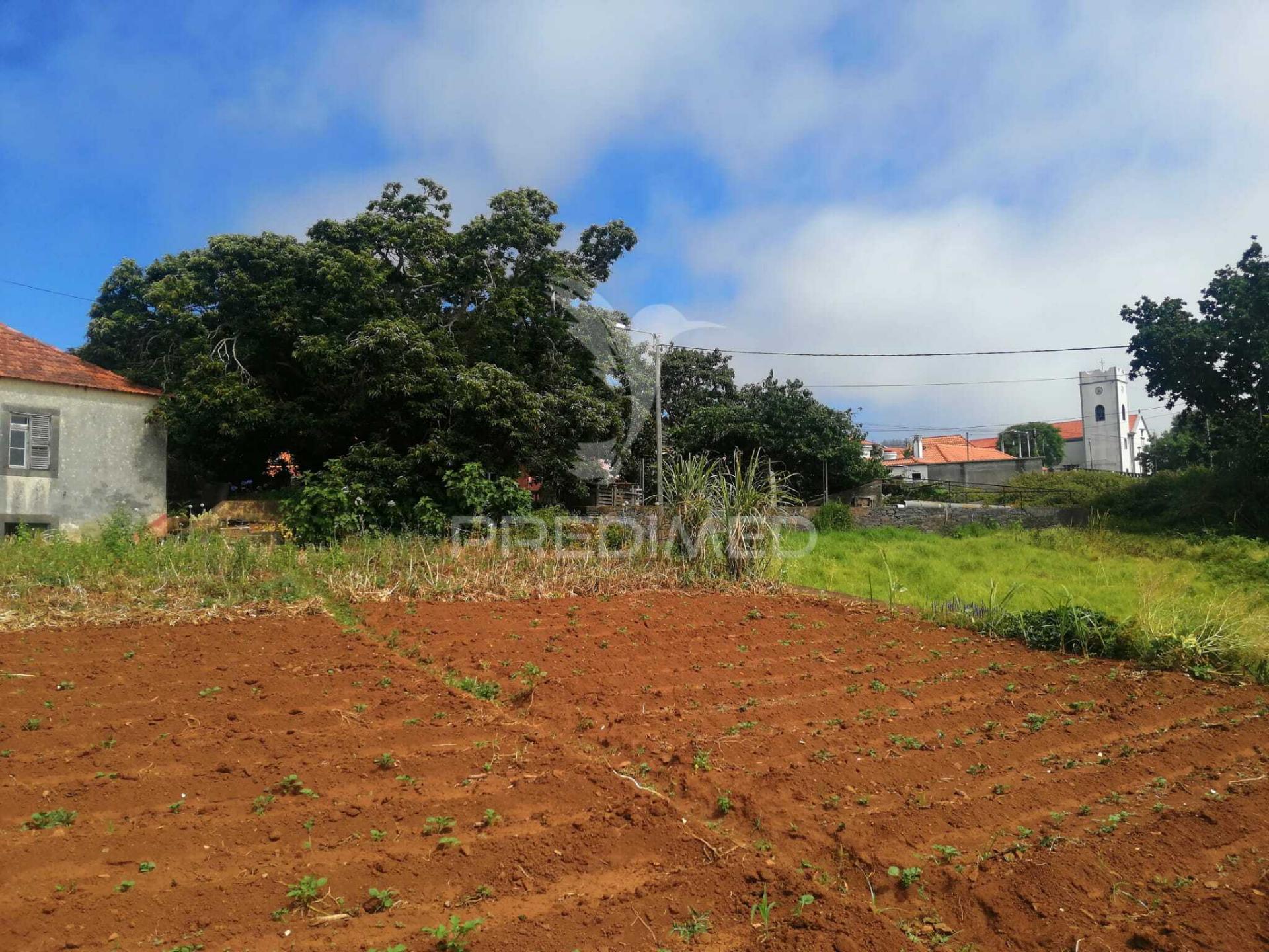 Quinta centenária na ponta do pargo – oportunidade única junto ao futuro campo de golfe