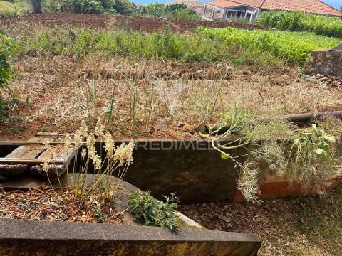Quinta centenária na ponta do pargo – oportunidade única junto ao futuro campo de golfe