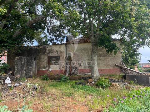 Quinta centenária na ponta do pargo – oportunidade única junto ao futuro campo de golfe