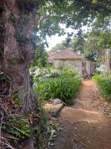 Quinta centenária na ponta do pargo – oportunidade única junto ao futuro campo de golfe