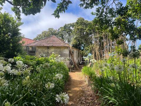 Quinta centenária na ponta do pargo – oportunidade única junto ao futuro campo de golfe