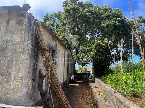 Quinta centenária na ponta do pargo – oportunidade única junto ao futuro campo de golfe