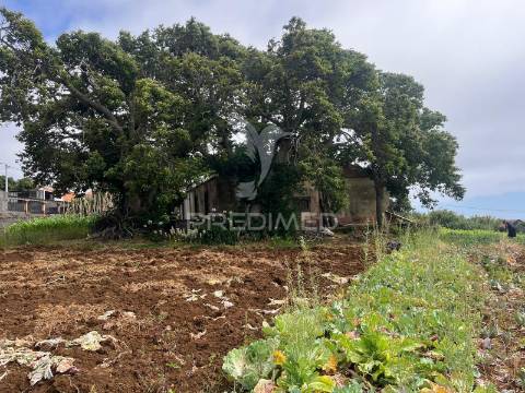 Quinta centenária na ponta do pargo – oportunidade única junto ao futuro campo de golfe