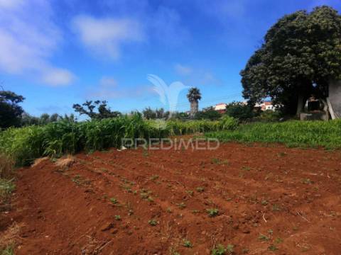 Quinta centenária na ponta do pargo – oportunidade única junto ao futuro campo de golfe