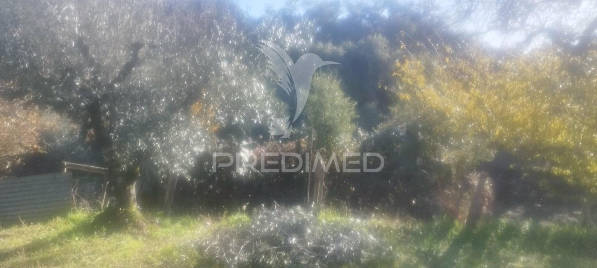 Quinta virada ao castelo de marvão