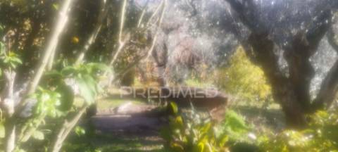 Quinta virada ao castelo de marvão