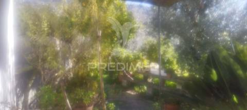 Quinta virada ao castelo de marvão