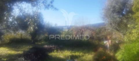 Quinta virada ao castelo de marvão