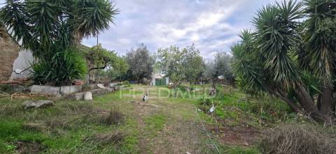 Quinta t1 pronto habitar, com anexo t3 – para remodelação