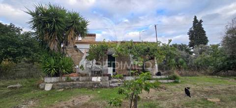 Quinta t1 pronto habitar, com anexo t3 – para remodelação