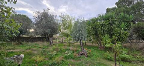 Quinta t1 pronto habitar, com anexo t3 – para remodelação