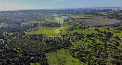 Lote urbano no centro da cidade de lagoa – última oportunidade