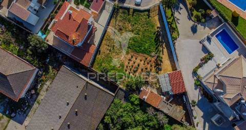 Lote urbano no centro da cidade de lagoa – última oportunidade