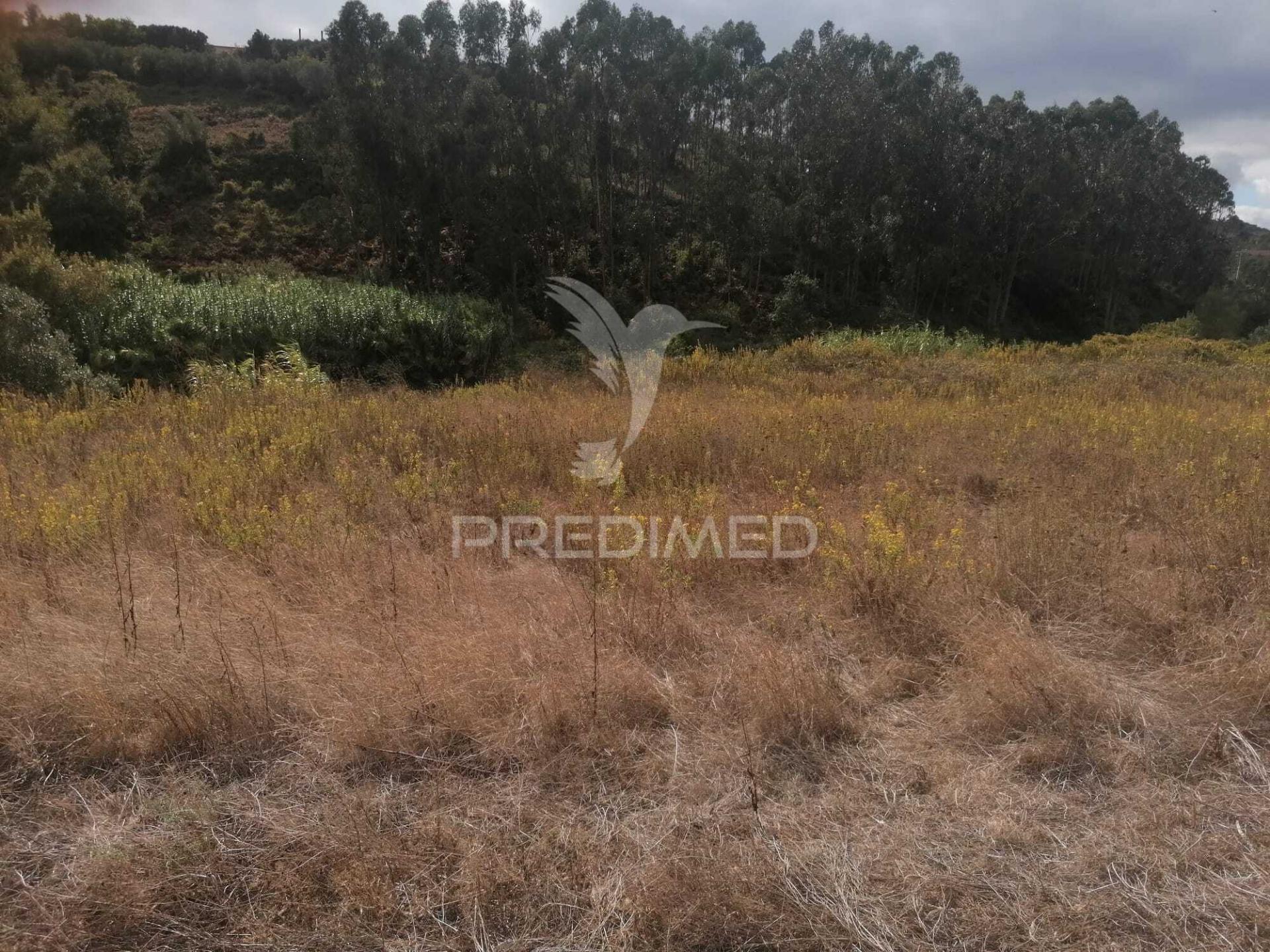 Terro rústico em sobral monte agraço - chã