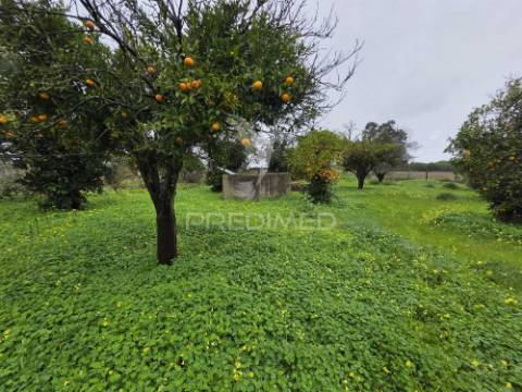 Moradia isolada t2 - água derramada | grândola