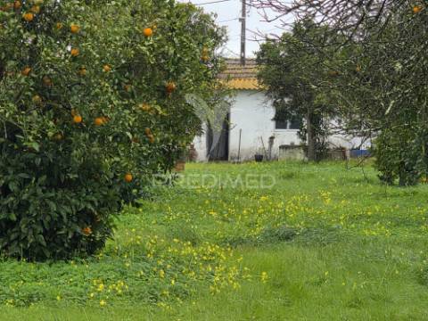 Moradia isolada t2 - água derramada | grândola