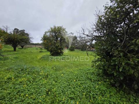 Moradia isolada t2 - água derramada | grândola