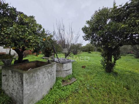 Moradia isolada t2 - água derramada | grândola