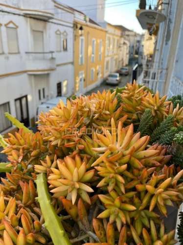 Apartamento no centro da zona histórica de sines