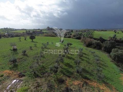Moradia t5 com piscina em são vicente do paul – santarém