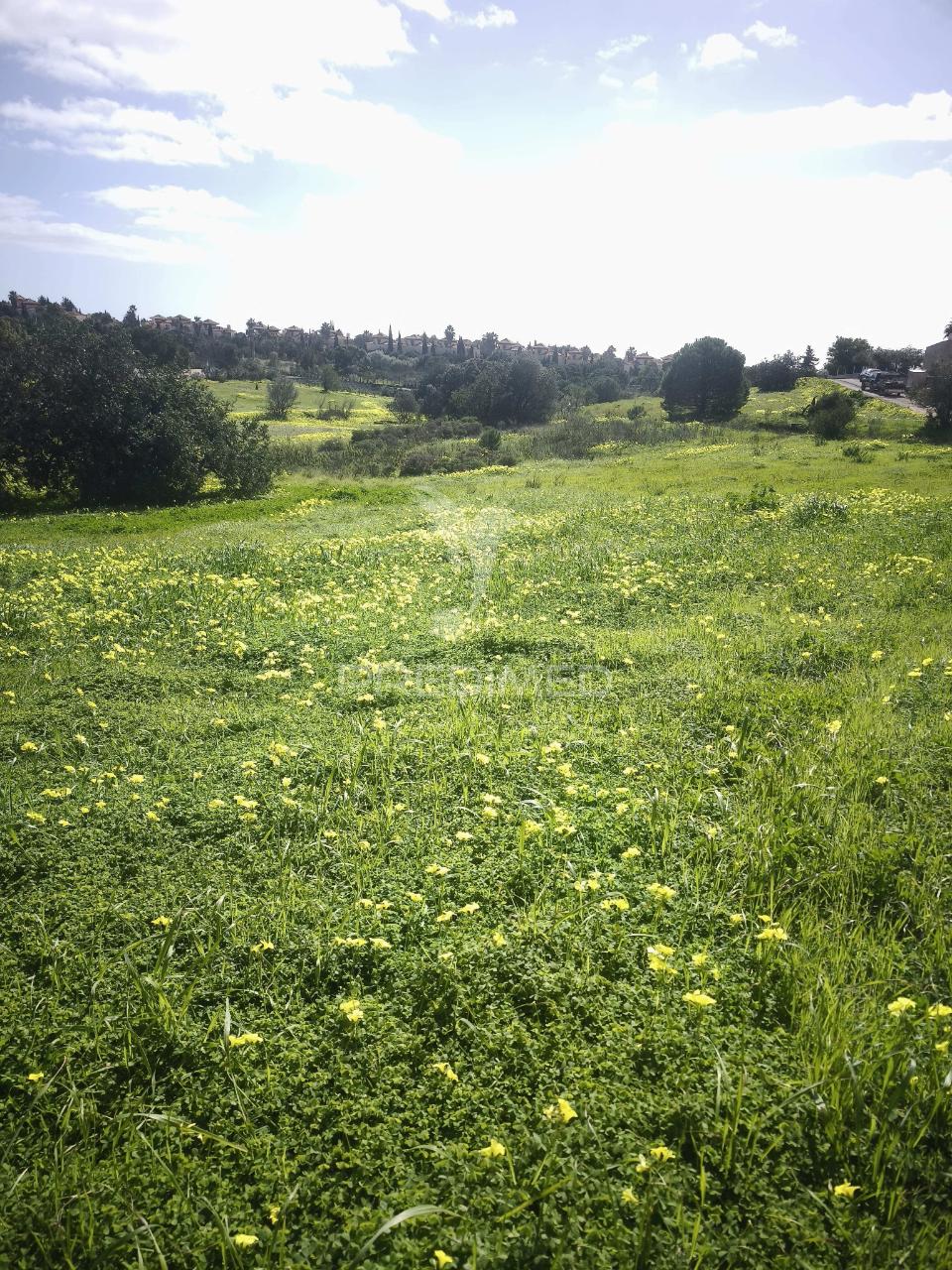 Exclusiva oportunidade no coração do sotavento algarvio – corte martins, algarve