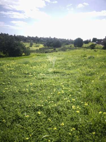 Exclusiva oportunidade no coração do sotavento algarvio – corte martins, algarve