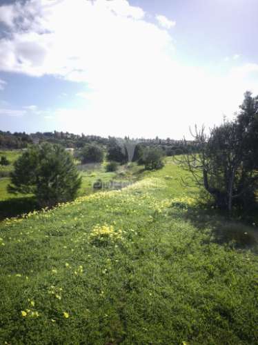 Exclusiva oportunidade no coração do sotavento algarvio – corte martins, algarve