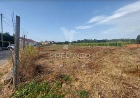 Terreno rústico em oiã com 4.190m2