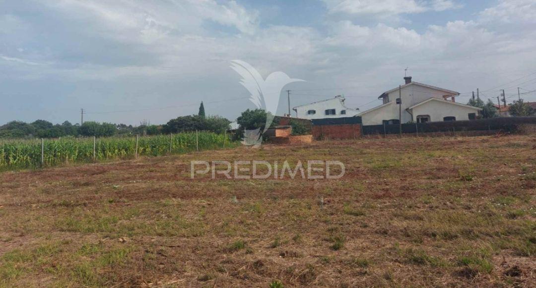 Terreno rústico em oiã com 4.190m2