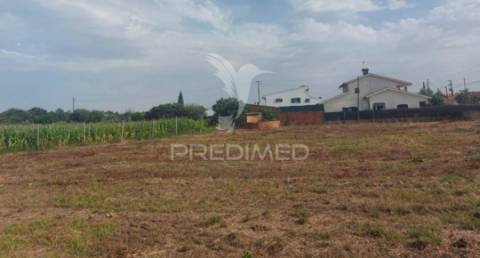 Terreno rústico em oiã com 4.190m2