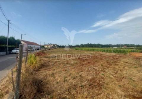 Terreno rústico em oiã com 4.190m2