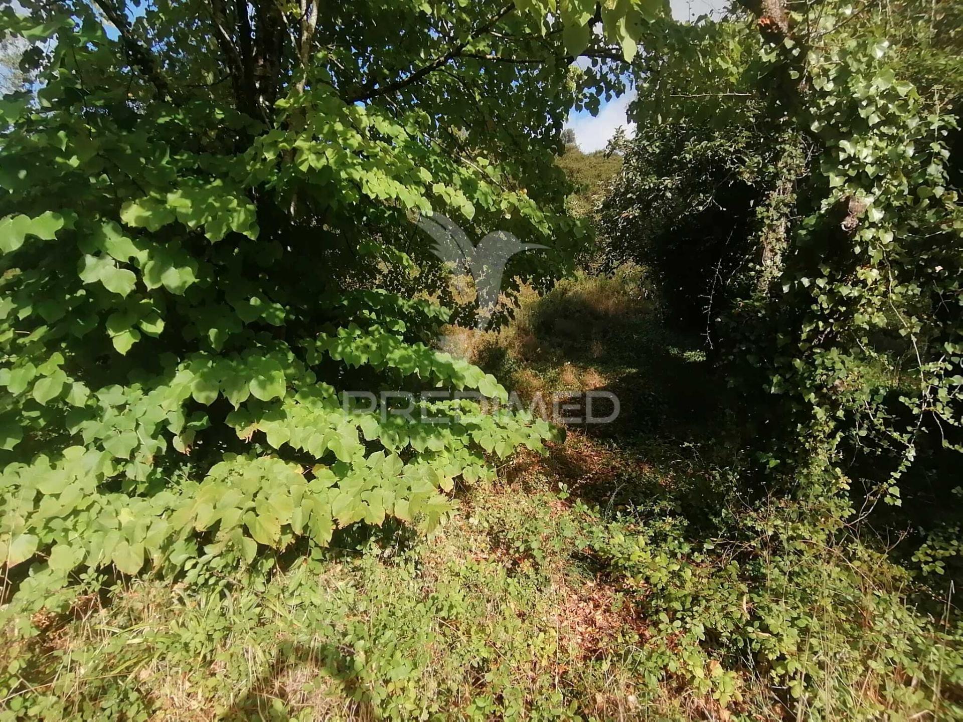 Terreno rústico em sobral monte agraço - batalha