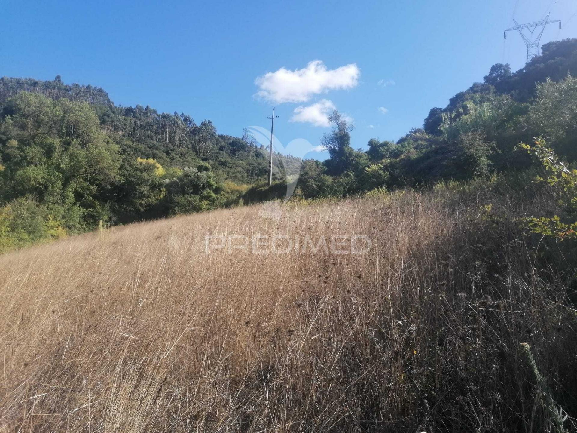 Terreno rústico em sobral monte agraço - santo quintino