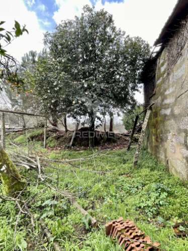 Casa de campo - para recuperação - lugar de reguengo - boim - lousada