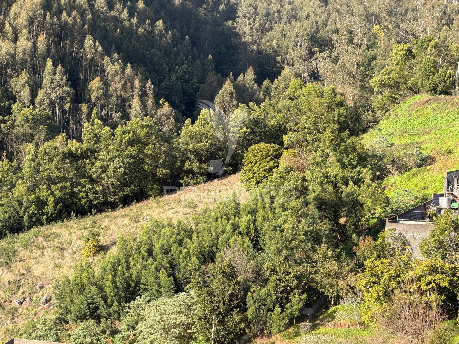 Terreno  para um projeto de turismo rural, bangalôs.