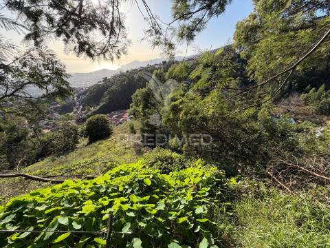 Terreno  para um projeto de turismo rural, bangalôs.