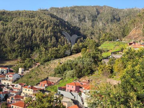 Terreno  para um projeto de turismo rural, bangalôs.