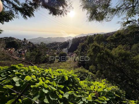 Terreno  para um projeto de turismo rural, bangalôs.