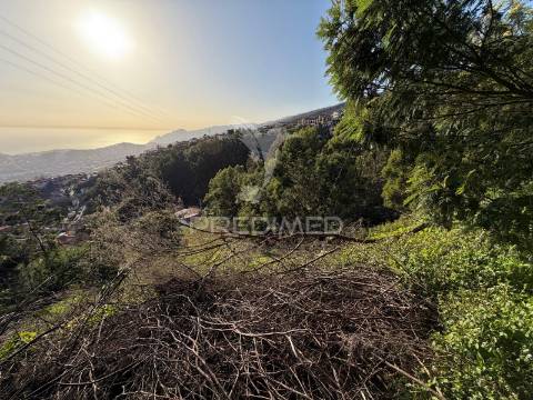 Terreno  para um projeto de turismo rural, bangalôs.