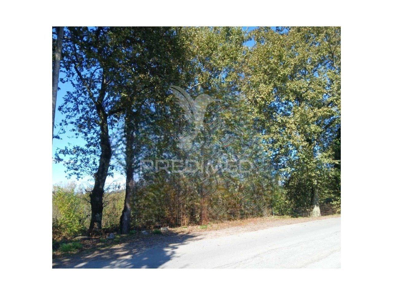 ? lote para construção - garfe póvoa de lanhoso