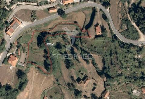 Terreno rústico em lamas - mozelos – paredes de coura