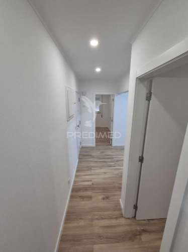 Apartamento completamente remodelado equipado  top