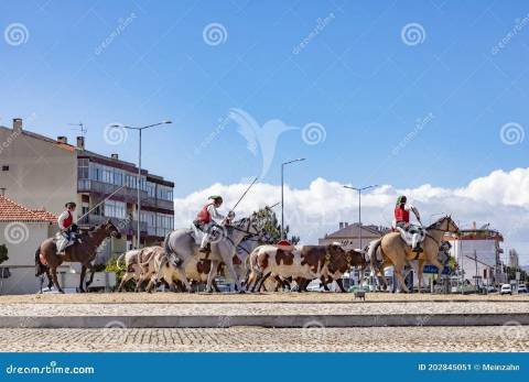 Moradia t4 em samora correia