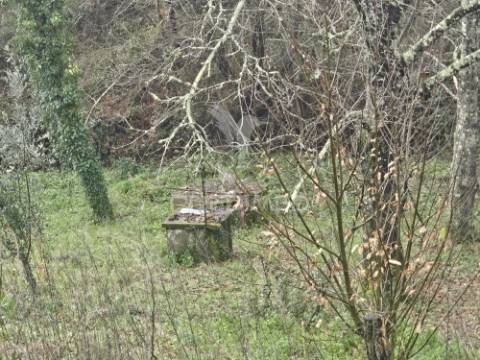 Moradia t3 pronta a habitar