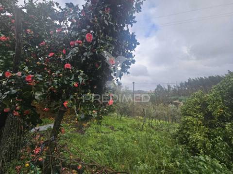 Moradia t3 pronta a habitar